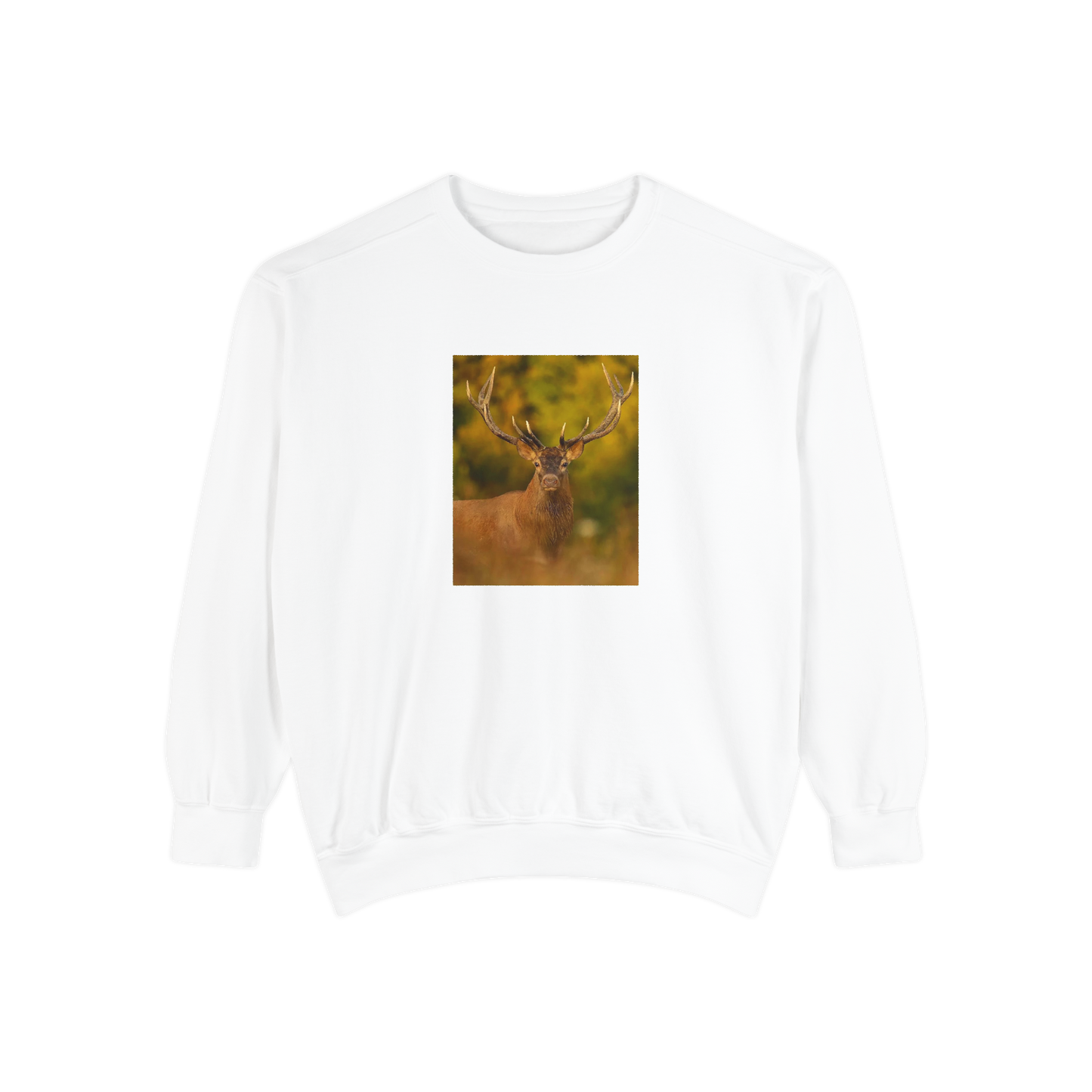 Wild Aura Crew - Stay Cozy, Stay Wild