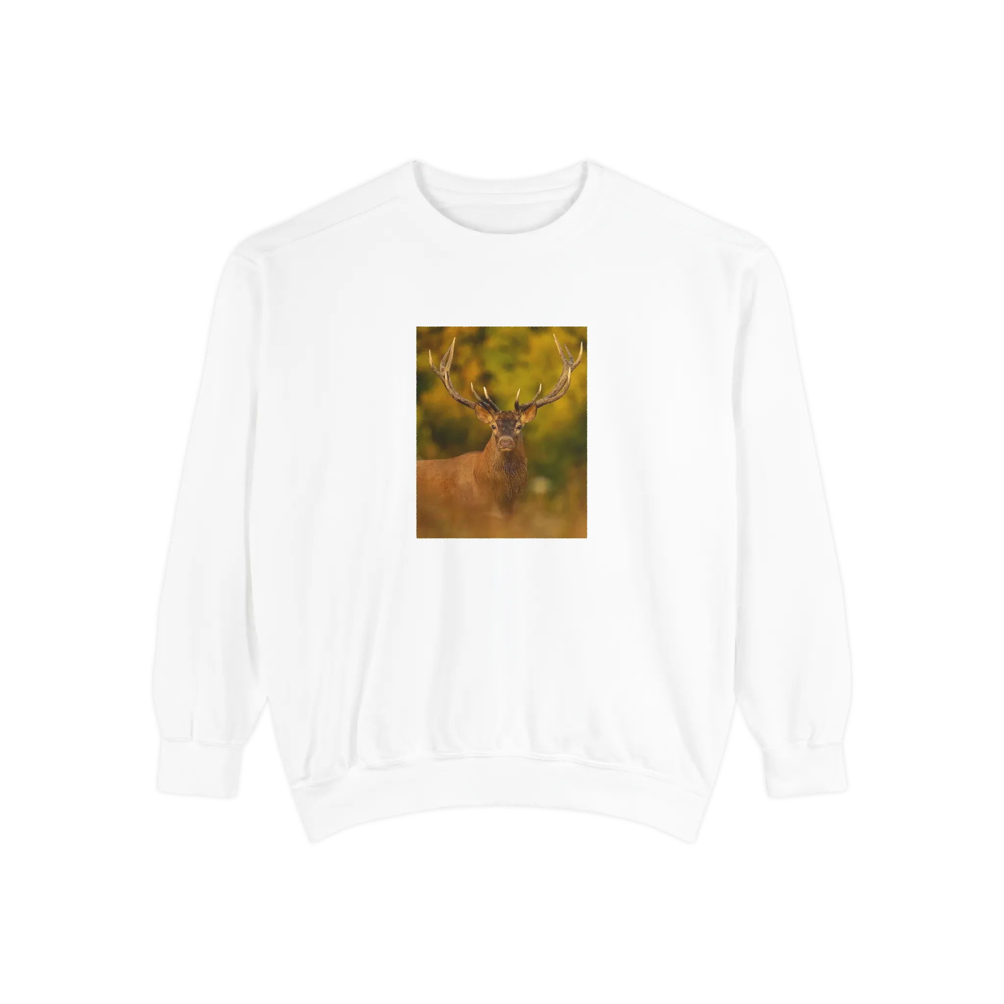 Wild Aura Crew - Stay Cozy, Stay Wild