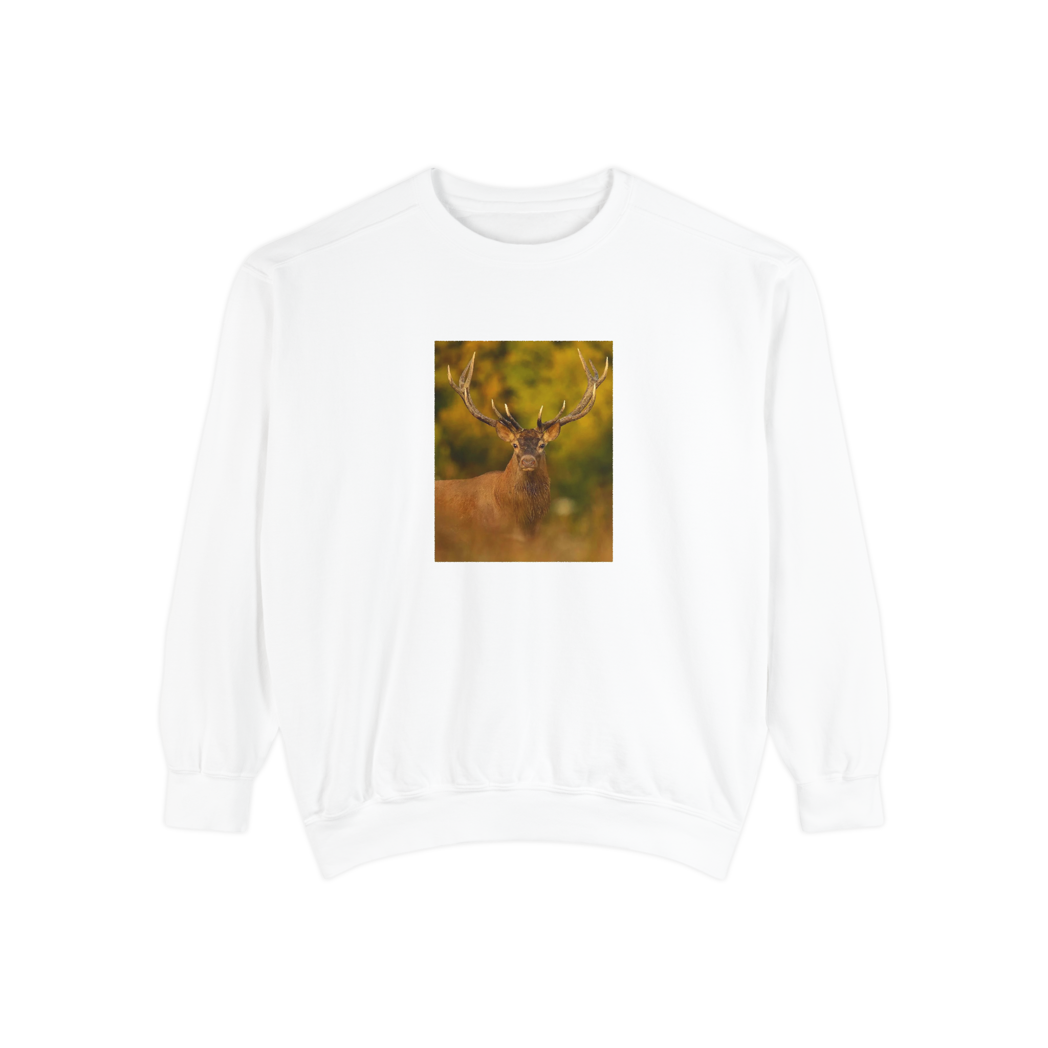 Wild Aura Crew - Stay Cozy, Stay Wild