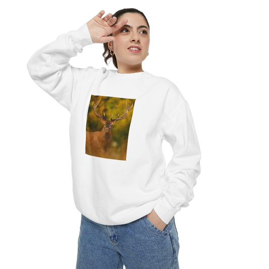 Wild Aura Crew - Stay Cozy, Stay Wild