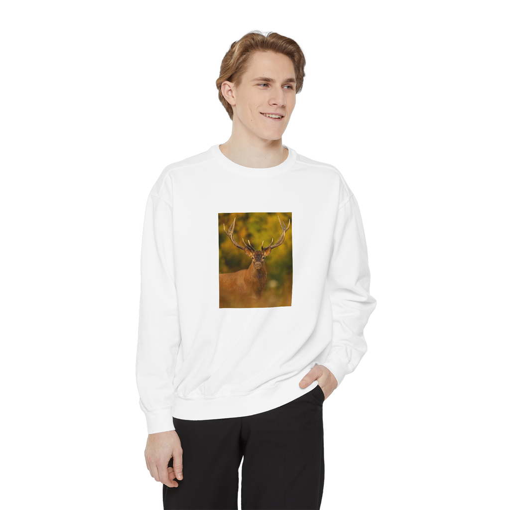 Wild Aura Crew - Stay Cozy, Stay Wild