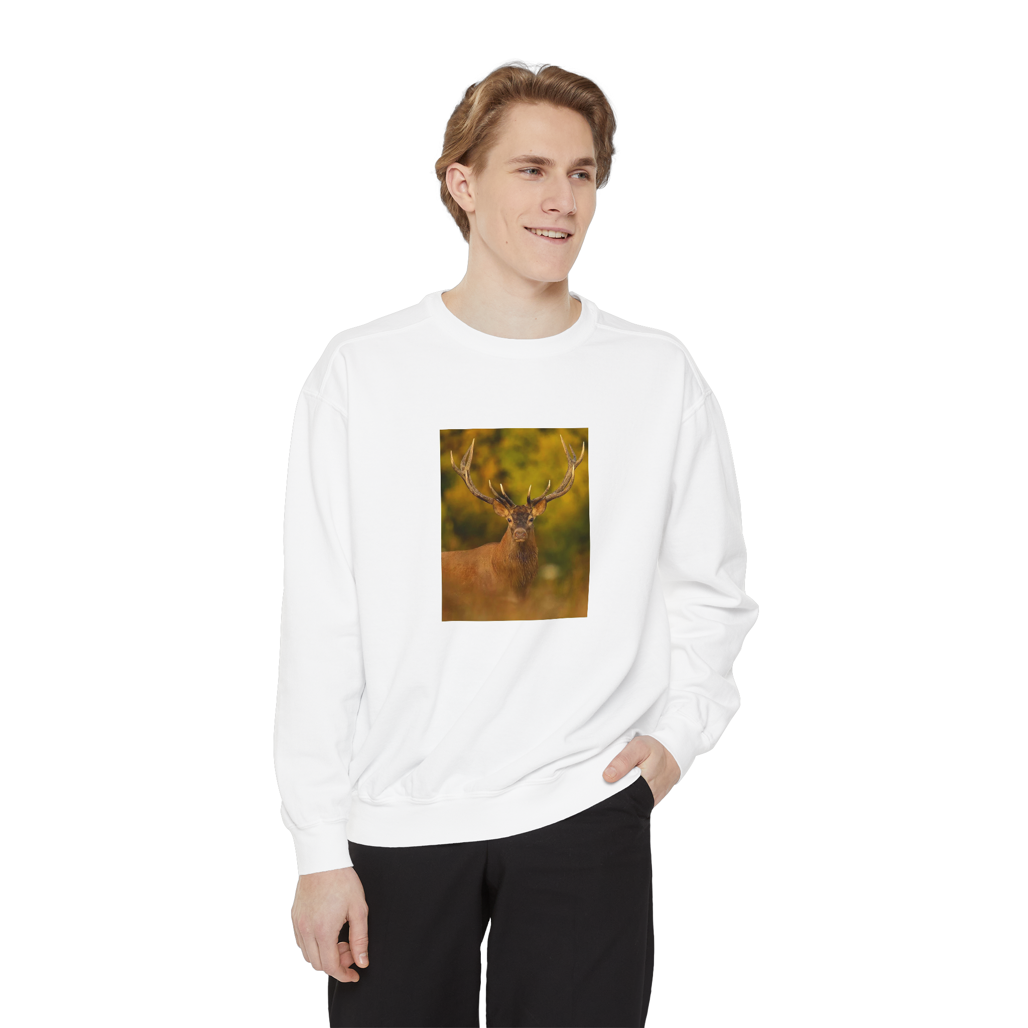 Wild Aura Crew - Stay Cozy, Stay Wild